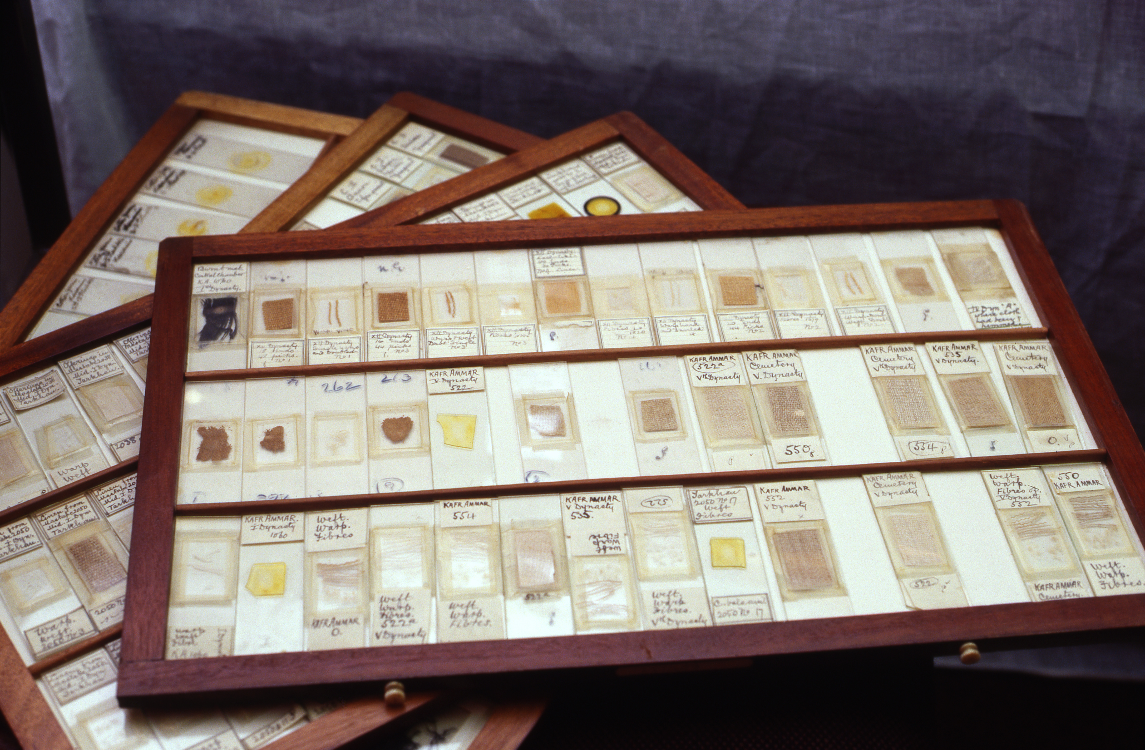 Image: Slide preparations for microscopy, early 19th century. Bolton Museum. Credit: Ron Oldfield