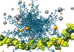 Nanostructure Binding Hepar