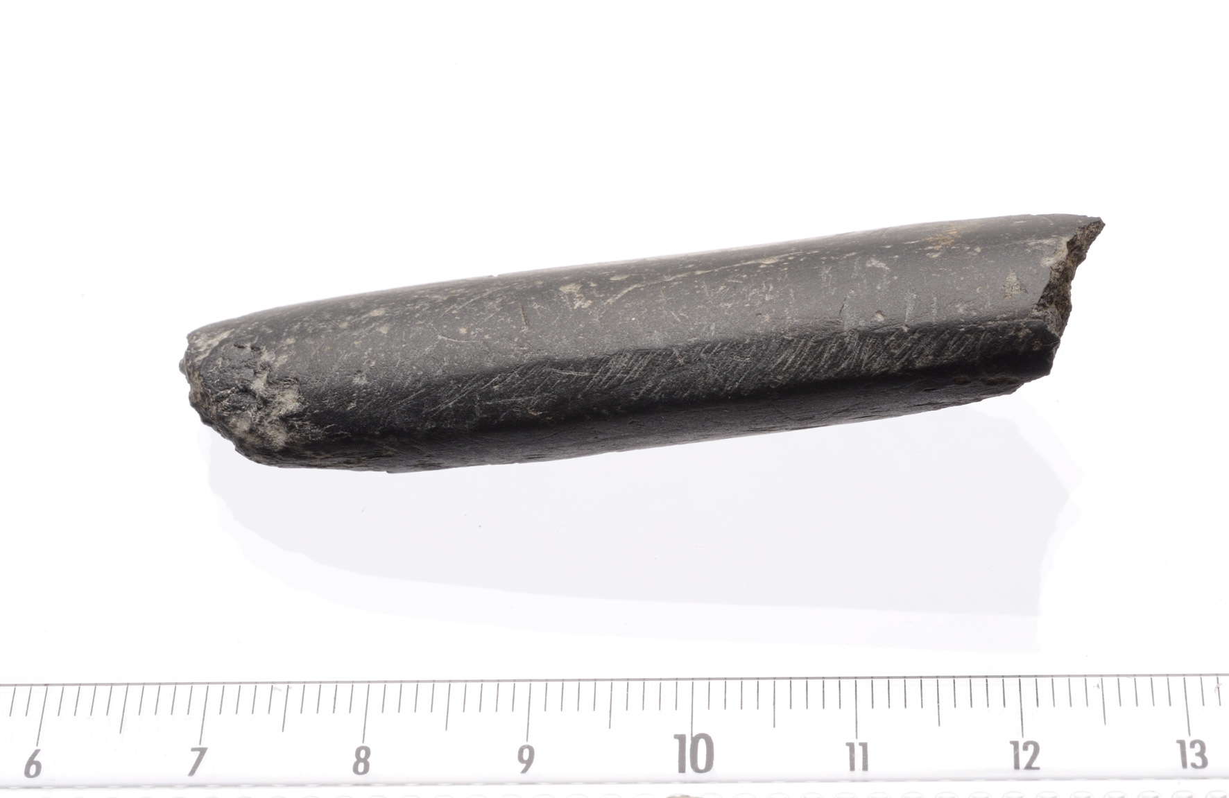 Image: Neolithic polished stone axe found close to the Faravel rock shelter (Photo: Guillaume Contini)