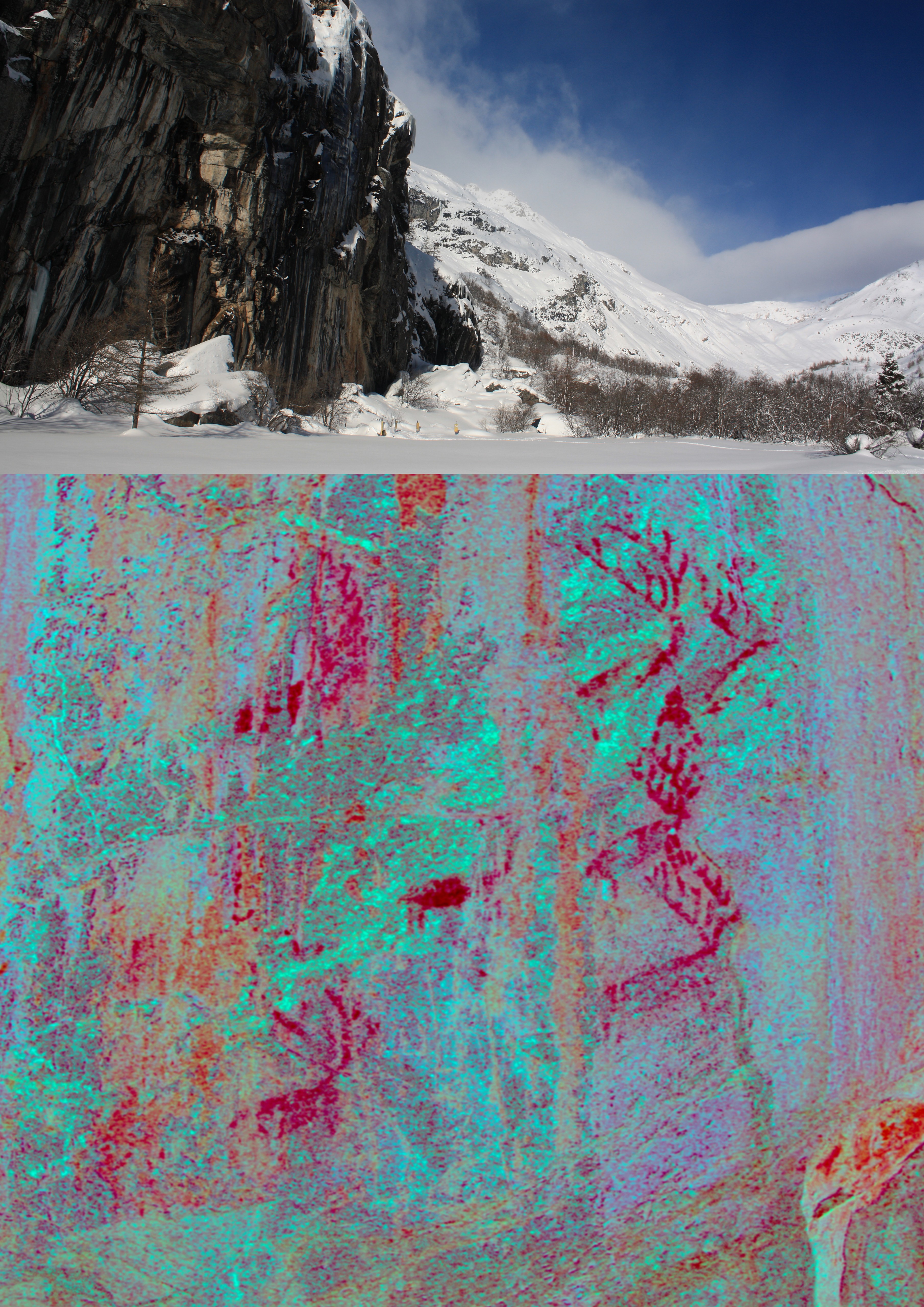 Image: The paintings from Bessans (the Rocher du Château). Top: view of the cliff (Rocher du Chateau); Bottom: Zoom onto part of the panel - colours enhanced with DStretch with the LRE matrix (Photo and enhancement: K. Walsh)