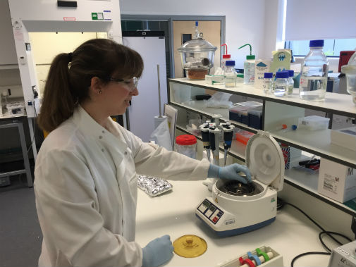 Dr Sarah Fiddyment conducted protein analysis of the parchment