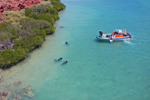 Archaeologists working in the shallow waters off Western Australia. credit: J. Leach, DHSC Project.