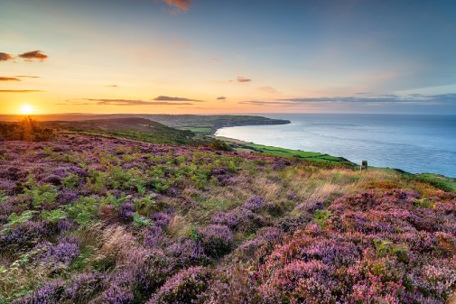 Many UK protected areas are failing to deliver benefits for nature, according to new report