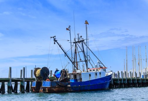 The post-Brexit fishing industry is full of broken promises, study shows