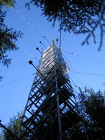 A tower equipped for measuring gases above a tall forest canopy