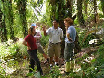 Dr Jane Hill (Project Leader) discusses the sustainable management of a mature oil-palm plantation with plantation managers and staff. Photo credit: Noel Tawatao
