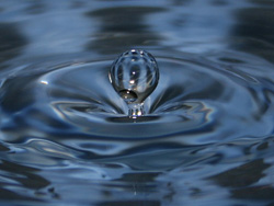 A water droplet