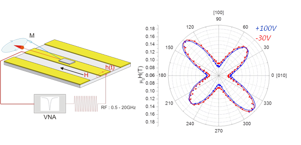 The experimental FMR setup with the coplanar waveguide mounted in the centre of the octupole electromagnet (not shown).