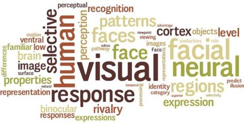 WordCloud