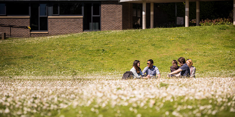 A group of students sit on the grass in the sunshine