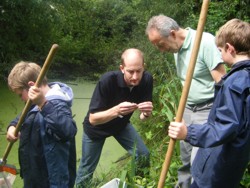 Pond dipping