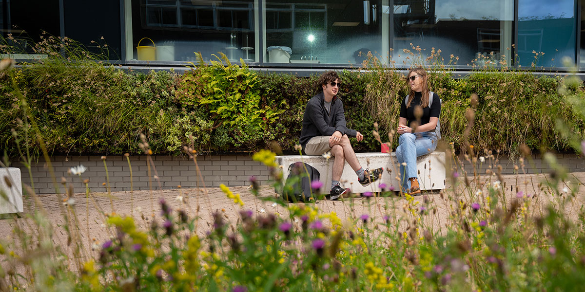 Students sitting amongst flowers on campus