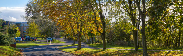 The road leading up to Car Park G in Wentworth.