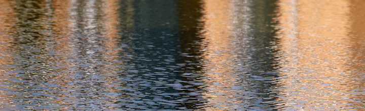 Reflections on university lake