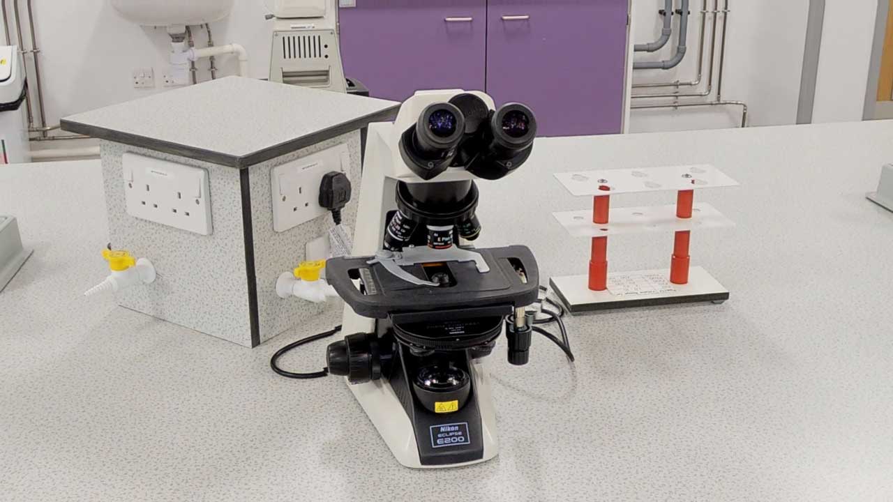 Compound microscope at lab bench