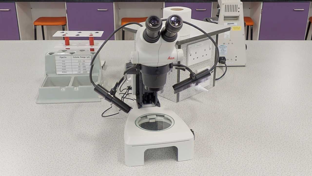 Dissecting microscope (or stereo microscope)