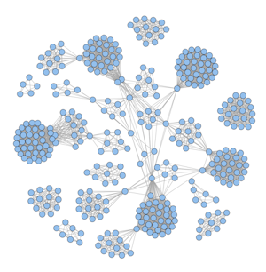 Network Structure of interlocking directorships
