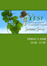 YESI Summer Social Programme Front Page