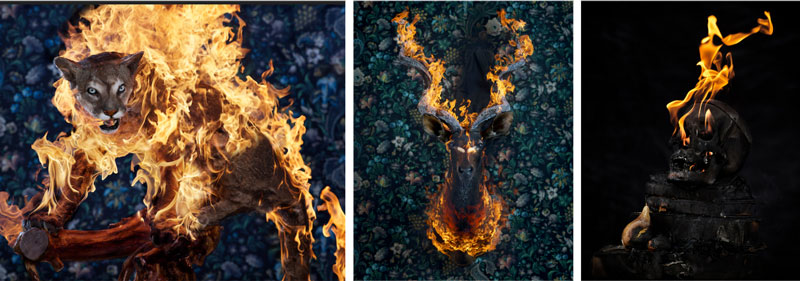 Burning taxidermied animals shot against a background of traditional Victorian wallpaper