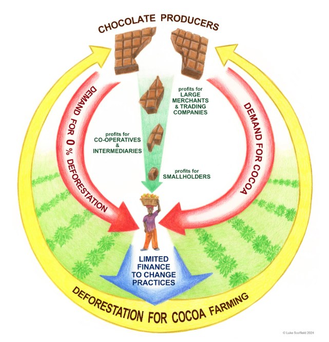 Visual representation of cocoa supply chain
