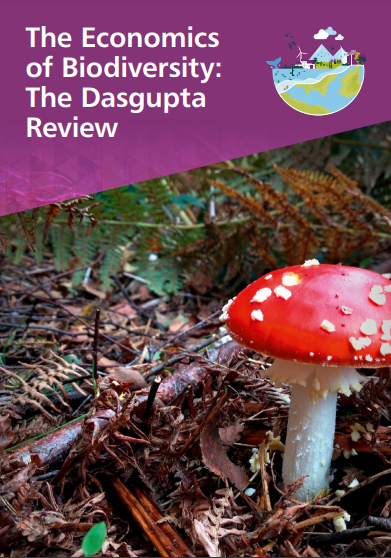 Dasgupta Review and Toadstool image