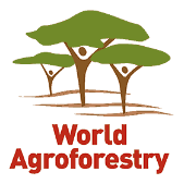 International Center for Research in Agroforestry (ICRAF)  Logo