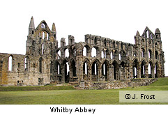 Whitby Abbey