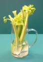 Jug of celery.