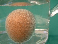 Egg shell dissolving in acid producing carbon dioxide gas bubbles.