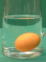 Fresh egg at the bottom of a water jug.
