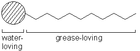 Surfactant molecule showing water-loving head and grease-loving tail.