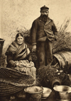Image of Baiting longline Cromarty Scotland ca 1890