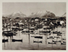 Image of Lofoten cod fishing fleet 1931