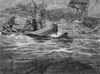 Image of Harpooning manta ray Gulf of Mexico ca 1870