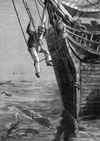 Image of Harpooning dorado in the doldrums ca 1870