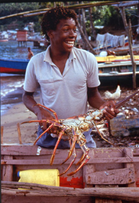 Image of a Lobster Fisher